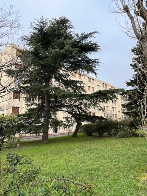 Offres de vente Appartement Bron 69500
